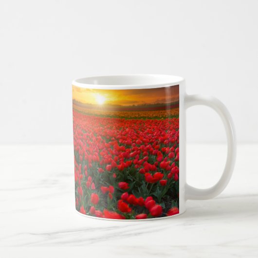 Mug Champs de tulipe au coucher du soleil dans (Droite)