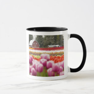 Mug Champs de tulipes de Mt. Vernon, comté de Skagit, 