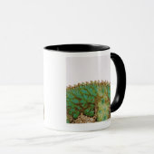 Mug Changement de peau de caméléon (Devant droit)