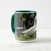 Mug Charbon d'oies domestiques (Devant gauche)