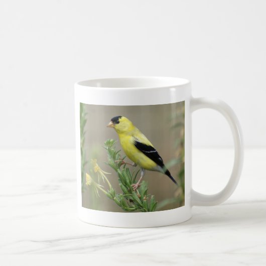 Mug Chardonneret (Droite)