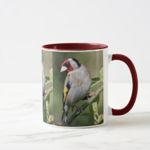 Mug Chardonneret élégant