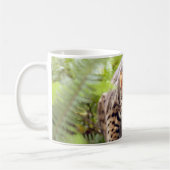 Mug Chat 004 du Bengale (Gauche)
