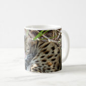 Mug Chat 005 du Bengale (Devant droit)