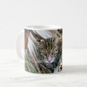 Mug Chat 005 du Bengale (Devant gauche)
