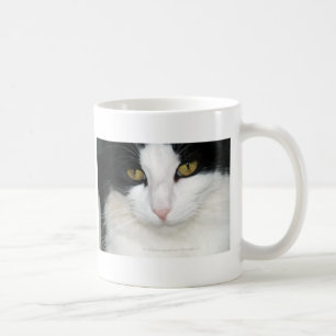 Mug Chat avec les yeux d'or