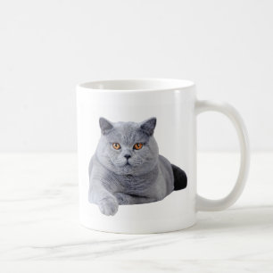 Mug Chat britannique de shorthair