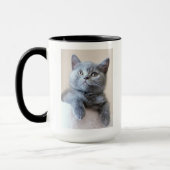 Mug Chat britannique gris de Shorthair (Gauche)