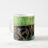Mug Chat brun et blanc (Devant gauche)
