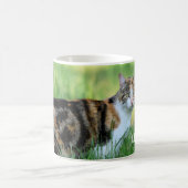 Mug Chat brun et blanc (Centre)