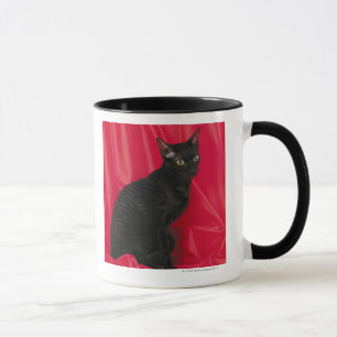 Mug Chat cornouaillais de rex