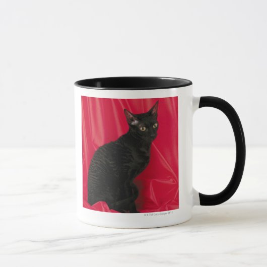 Mug Chat cornouaillais de rex (Droite)