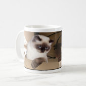 Mug Chat dans la boîte (Devant gauche)