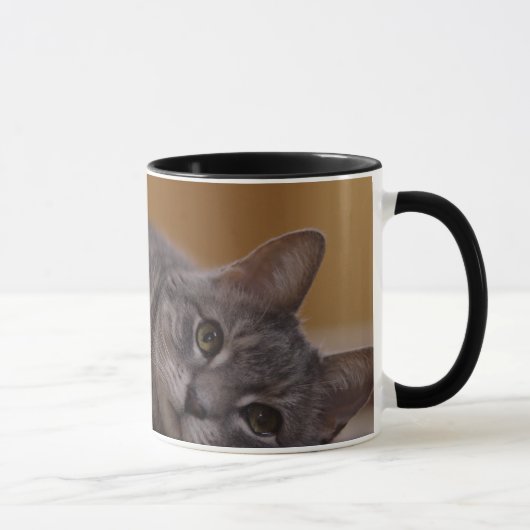 Mug Chat dans la pose mignonne se trouvant sur le (Droite)