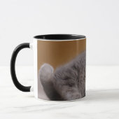 Mug Chat dans la pose mignonne se trouvant sur le (Gauche)