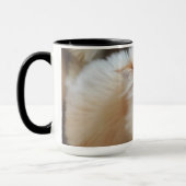 Mug Chat dans une boîte (Gauche)