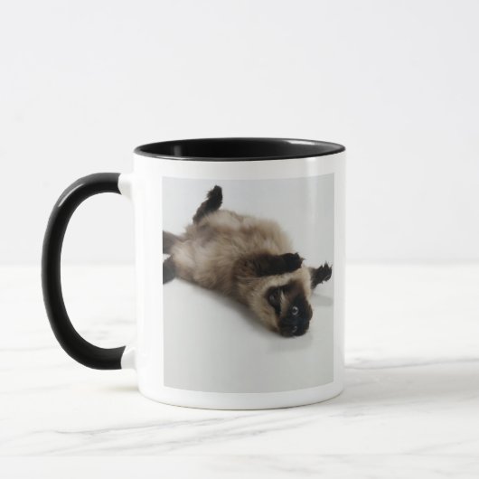 Mug Chat de l'Himalaya se trouvant sur le sien de (Gauche)
