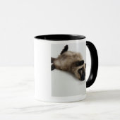 Mug Chat de l'Himalaya se trouvant sur le sien de (Devant droit)