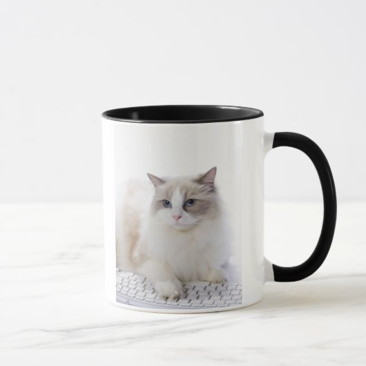 Mug Chat de Ragdoll sur le clavier d'ordinateur (Droite)
