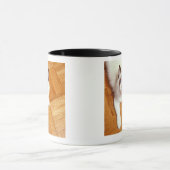 Mug Chat de Ragdoll sur le plancher, vue élevée (Centre)