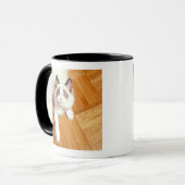 Mug Chat de Ragdoll sur le plancher, vue élevée (Devant gauche)