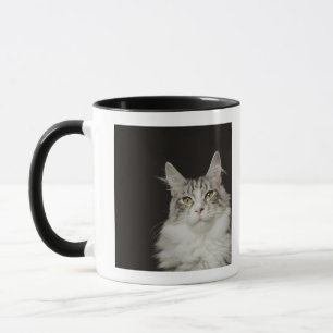 Mug Chat de ragondin adulte du Maine