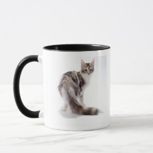 Mug Chat de ragondin du Maine