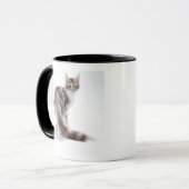 Mug Chat de ragondin du Maine (Devant gauche)