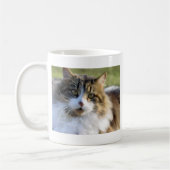 Mug Chat de ragondin du Maine (Gauche)