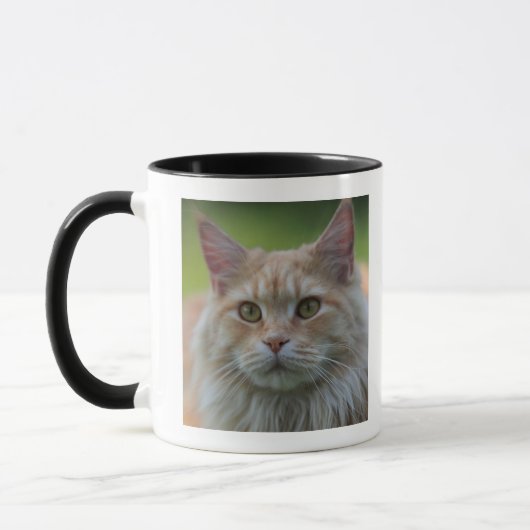 Mug Chat de ragondin principal (Gauche)