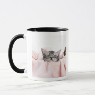 Mug Chat de Shorthair d'Américain