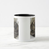 Mug Chat de sommeil (Centre)