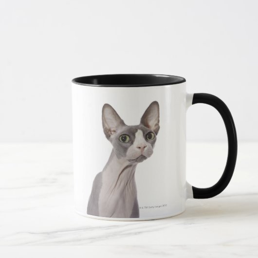 Mug Chat de Sphynx avec l'expression étonnée (Droite)