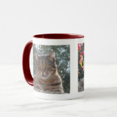 Mug Chat de tigre Pandelie (Devant gauche)