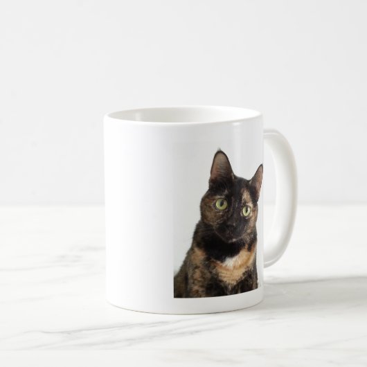 Mug Chat d'écaille (Devant droit)