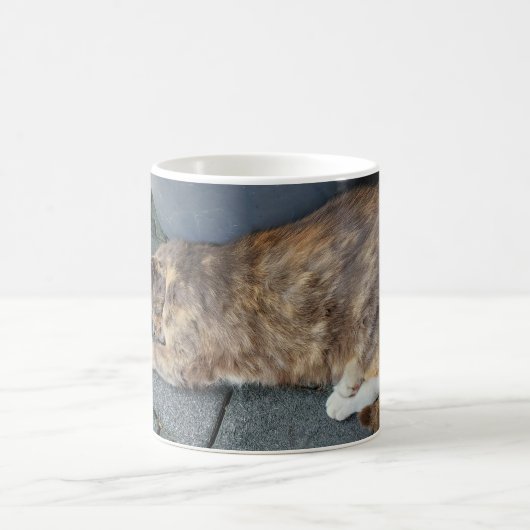 Mug Chat endormi (Centre)