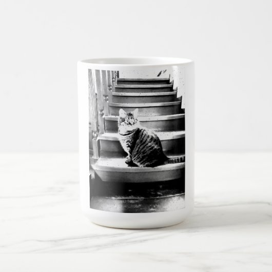 Mug Chat et escaliers (Centre)
