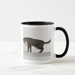 Mug Chat et poisson rouge