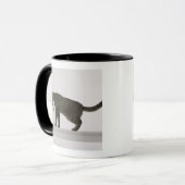 Mug Chat et poisson rouge (Devant gauche)