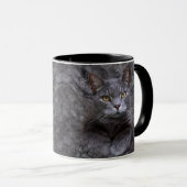 Mug Chat gris (Devant droit)