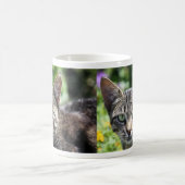 Mug Chat gris de rayure avec les yeux verts (Centre)
