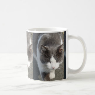 Mug Chat Gris Et Blanc