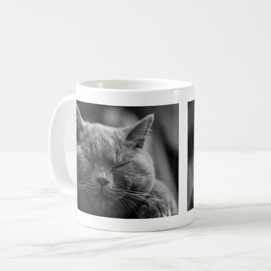 Mug Chat gris faisant une sieste (Devant gauche)