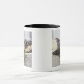 Mug Chat gris se situant dans le pot, Olargues, (Centre)