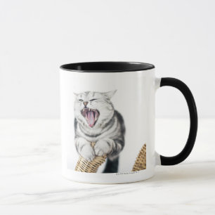 Mug chat gris sur l'arrière - plan blanc