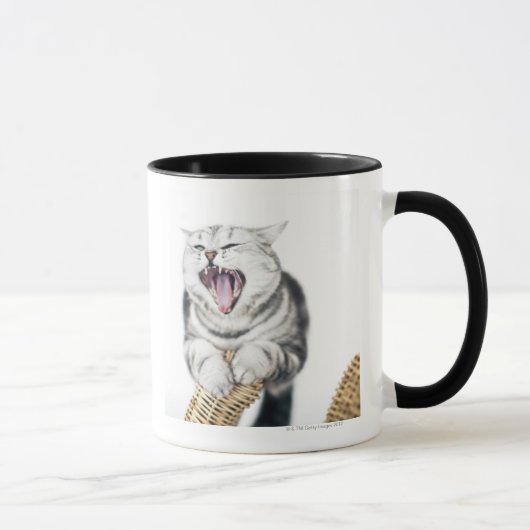 Mug chat gris sur l'arrière - plan blanc (Droite)