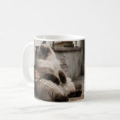 Mug Chat himalayen et Pixie Réveil Surprise (Devant gauche)