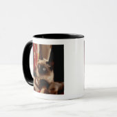 Mug Chat jetant un coup d'oeil par l'édredon (Devant gauche)