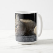 Mug Chat, Kitten, short britannique (Devant droit)