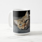 Mug Chat, Kitten, short britannique (Devant gauche)